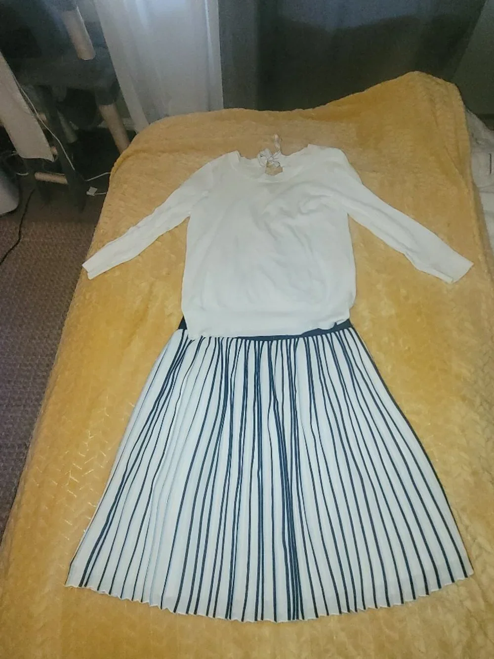 Jcrew pleaded skirt and top